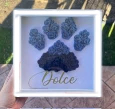 Paw Print Shadow Box | Personalized